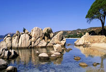 开云体育-印尼羽毛球高手捷报频传，连连获胜